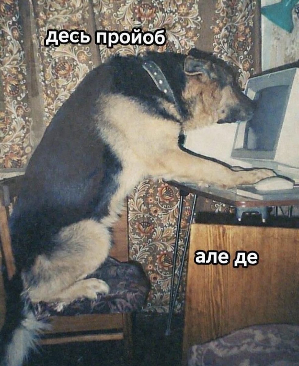 Say my name tweet media