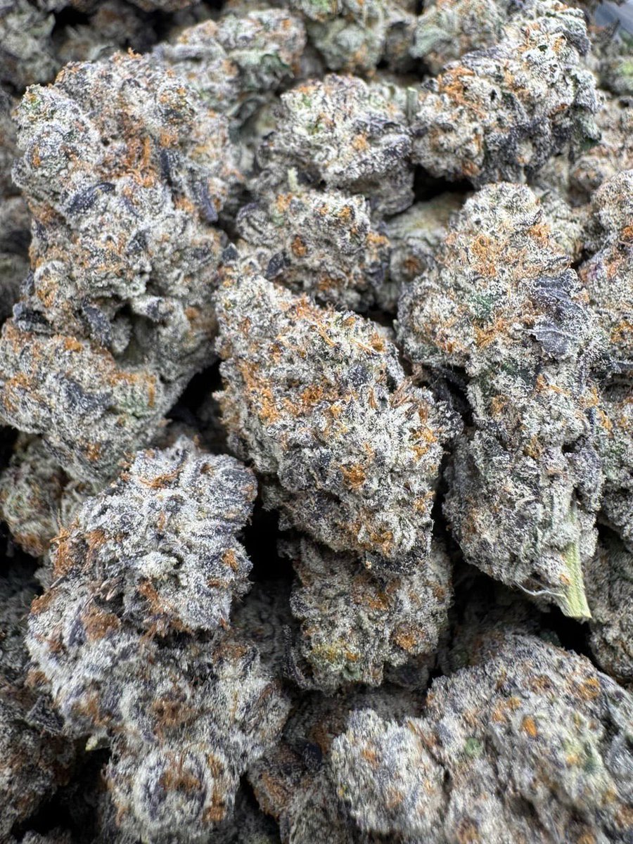 LiftedLeaf tweet media