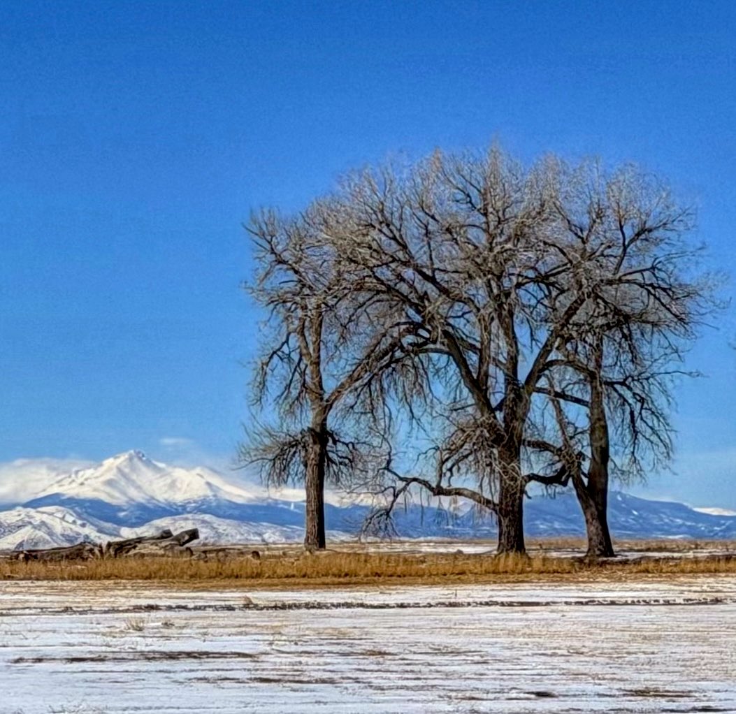 D Miller tweet media