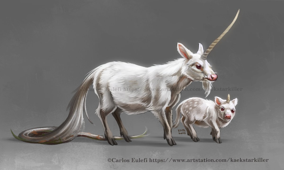 Kaek_art's tweet image. Unicornatus and BEBE , painted this at lunchtime with Clip Studio Paint 🖌️ #specevo #unicorn #bestiary