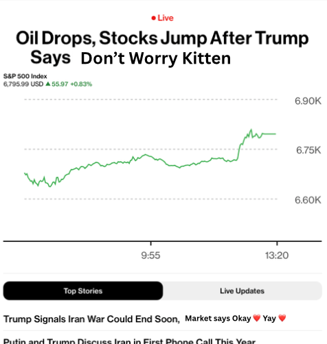 Kyla Scanlon (@kylascan) on Twitter photo 