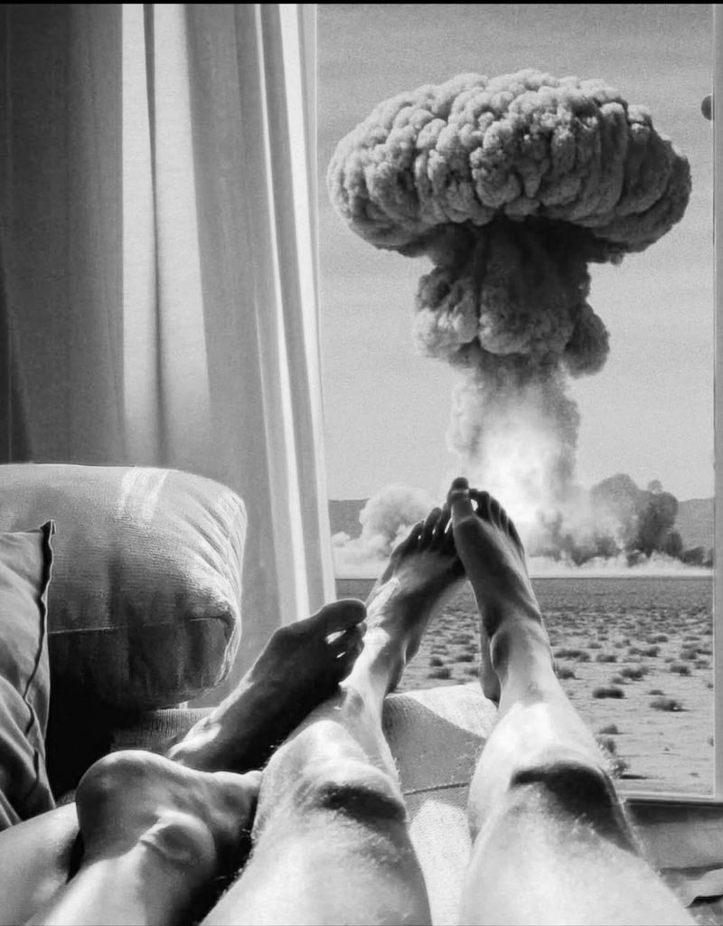 Aphrodite 🐾 tweet media