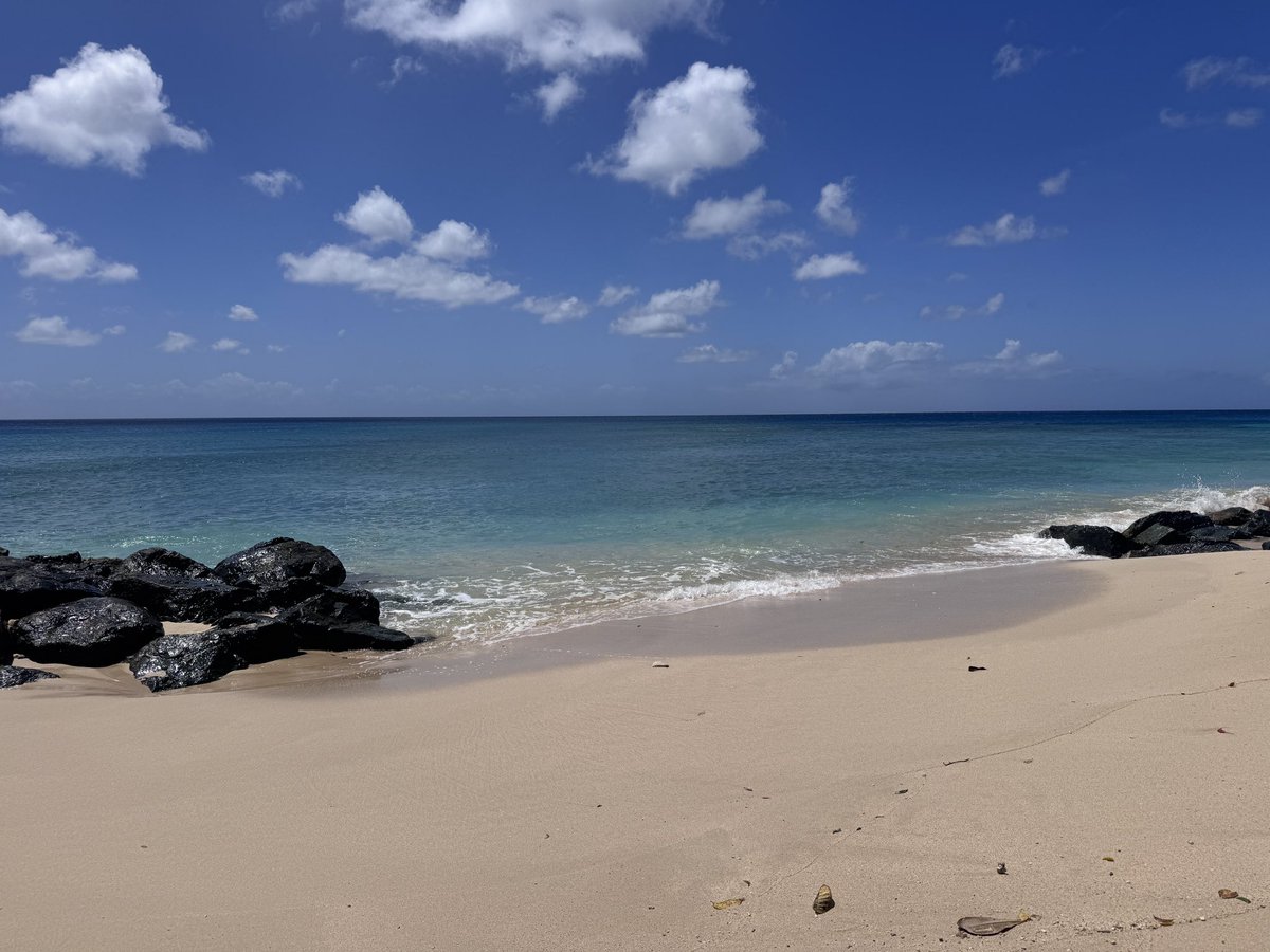 Paul Arthurs. tweet media