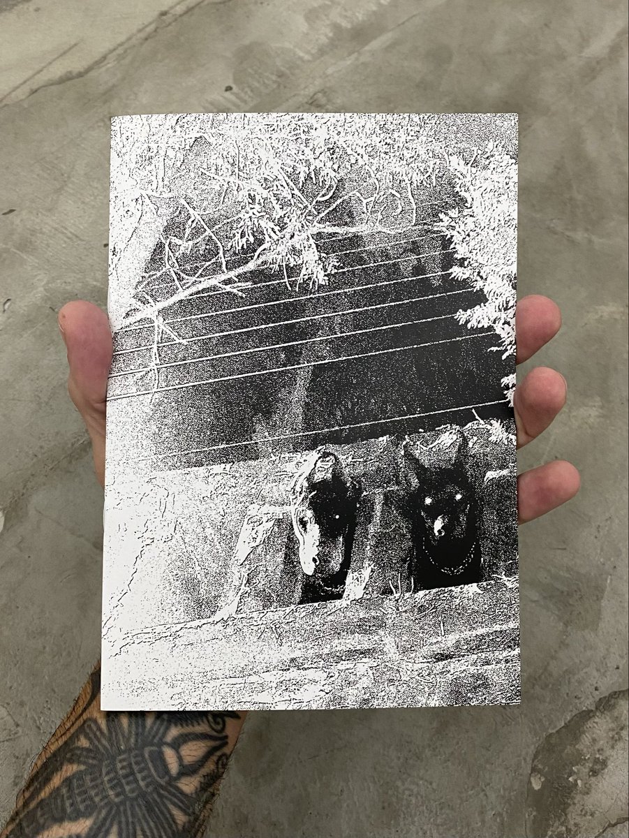 luã 𓃗𓃗𓃗 tweet media