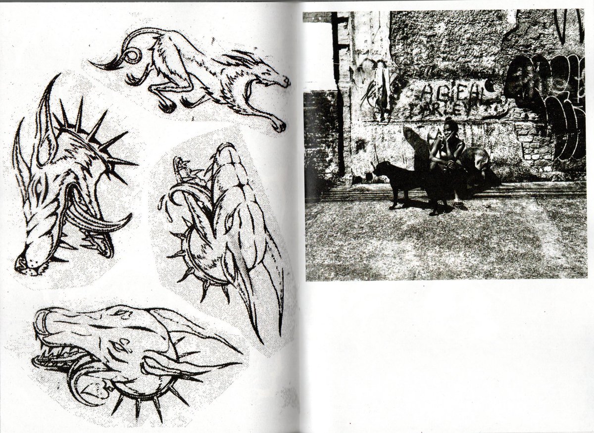 luã 𓃗𓃗𓃗 tweet media