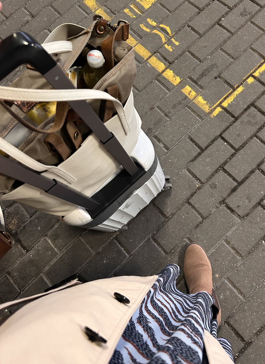 Die Zylf  tweet media