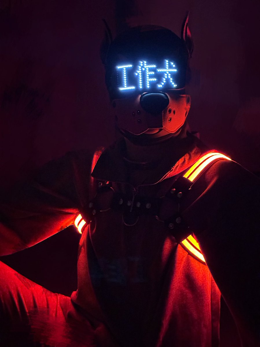 果仁汪汪 tweet media