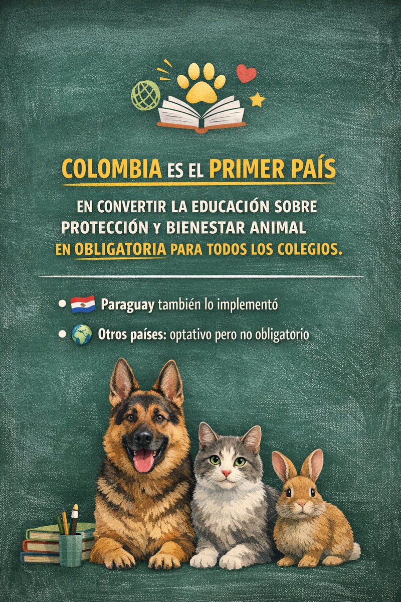 Patas y Pies tweet media