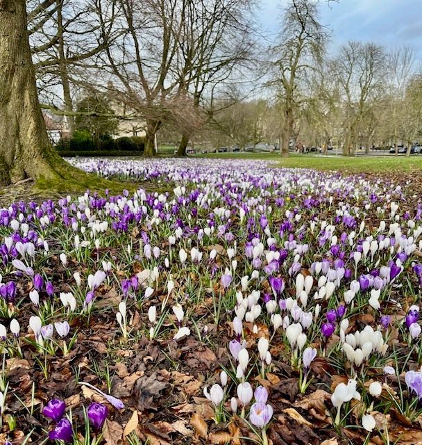 David Utting Artist tweet media