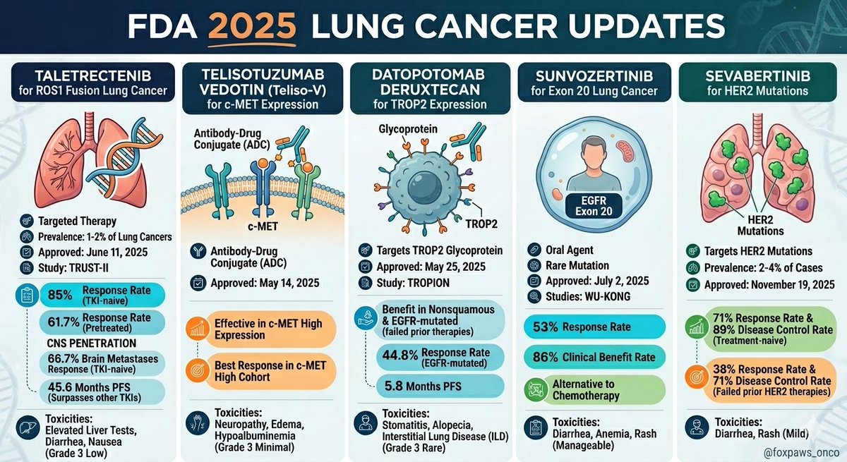 Dr. Foxpaws Fauxpas tweet media