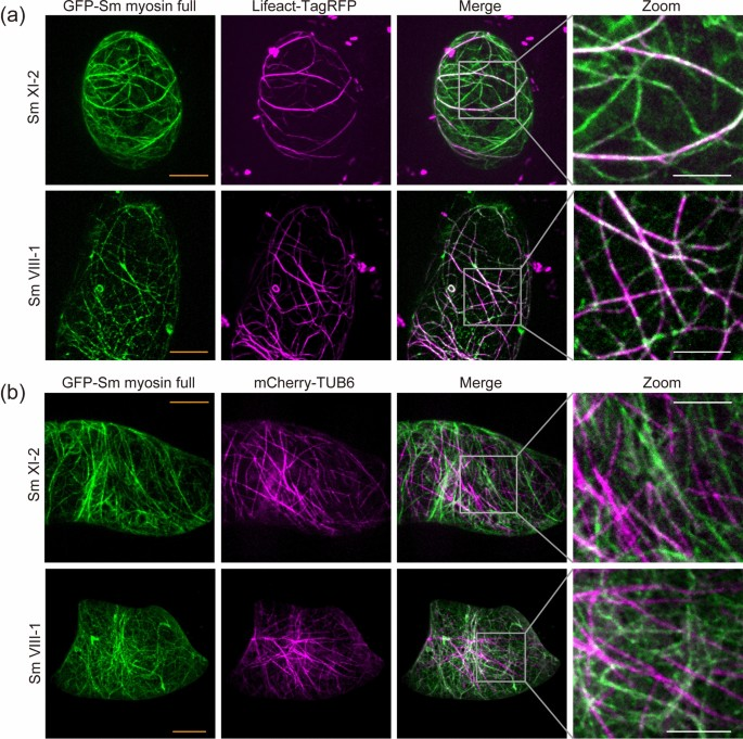 Planta_Journal tweet media
