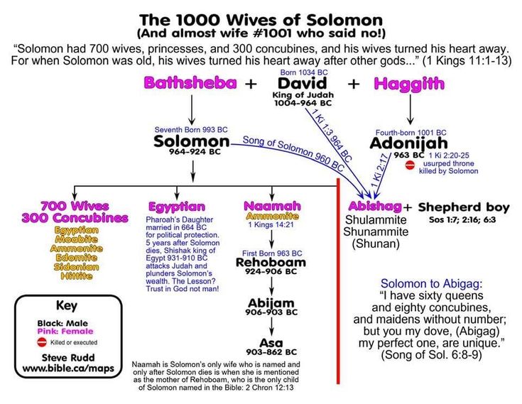 The 1000 wives of Solomon.