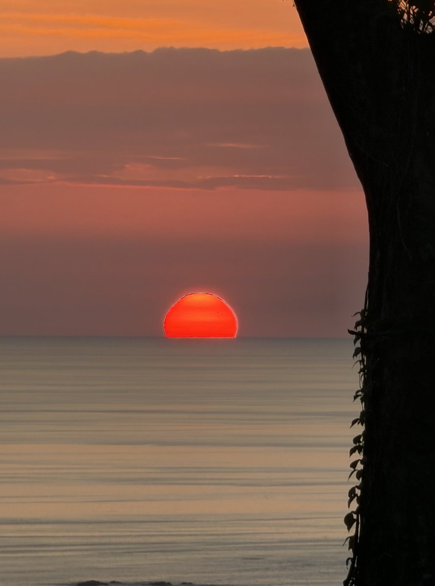 Daily Bread Music tweet media