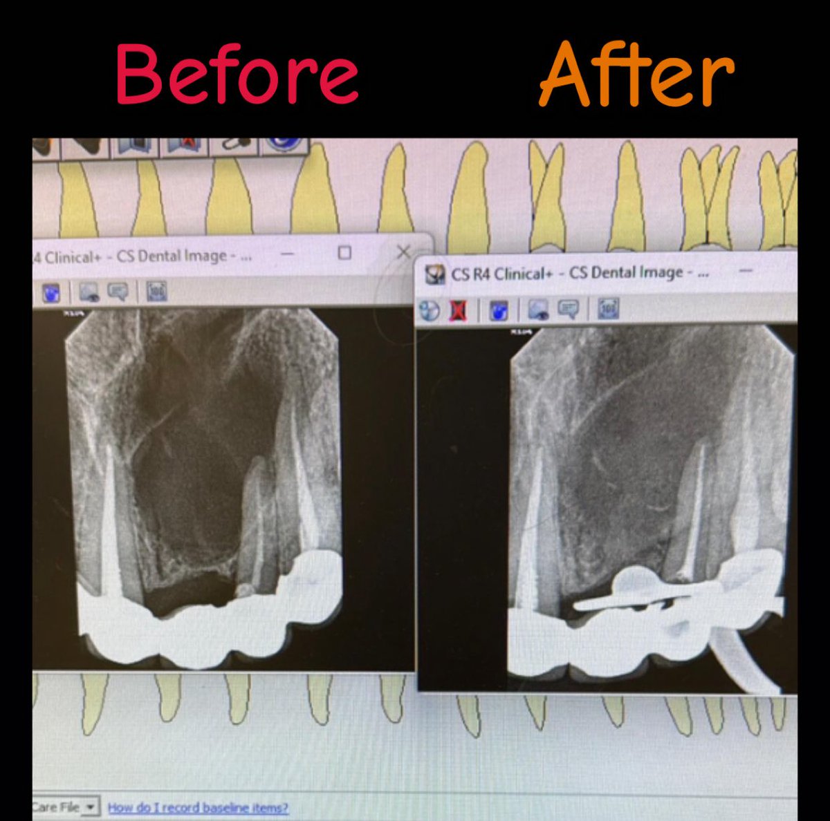 أرجوان tweet media