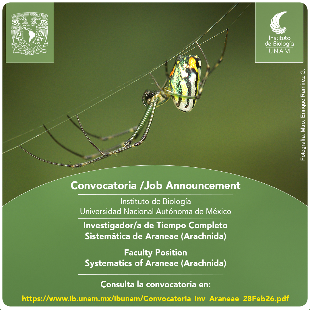 ib_unam's tweet photo. Convocatoria /Job Announcement del Instituto de Biología de la UNAM para una persona Investigador/a de Tiempo Completo en Sistemática de Araneae (Arachnida)Faculty Position Systematics of Araneae (Arachnida)
Consulta la convocatoria en: https://t.co/SzPjDvMgeg https://t.co/bEVIDGK4rM