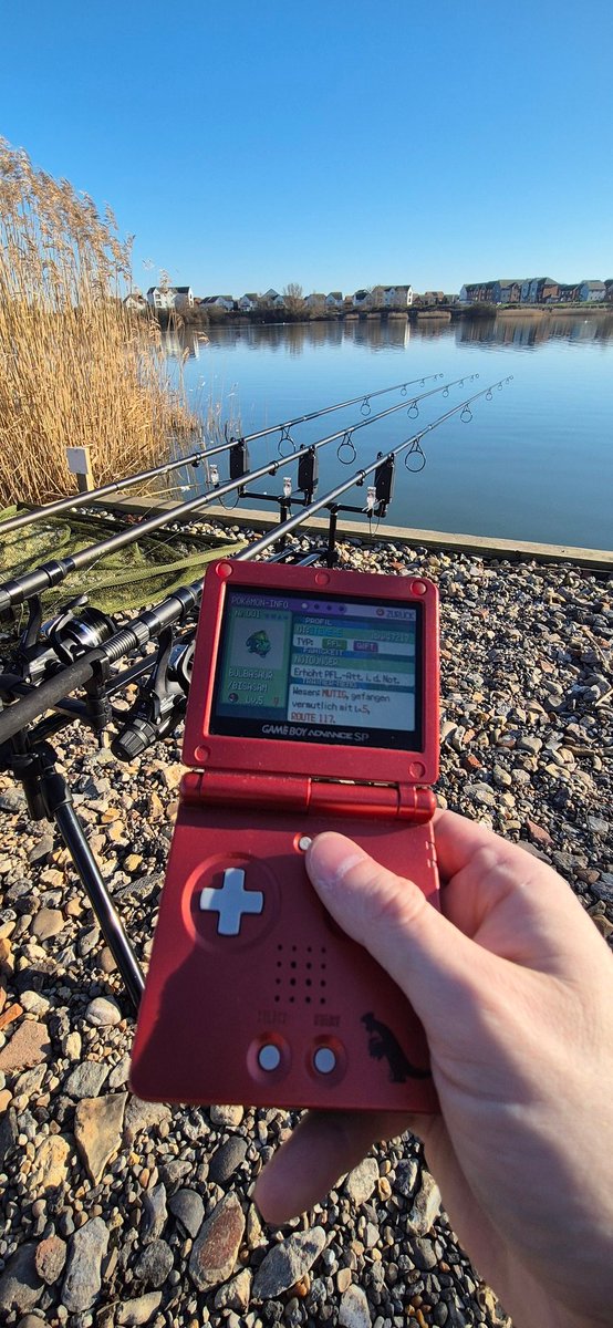 Steve ✨ tweet media