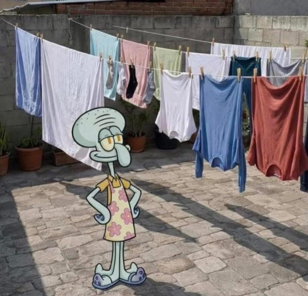 - Ninguém
Eu admirando tudo que lavei: