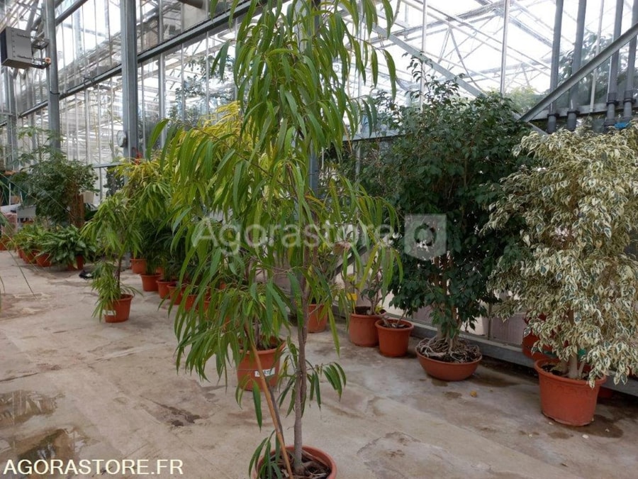 Grand Reims tweet media