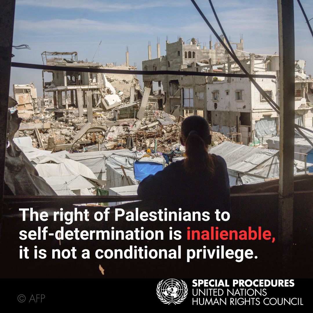 UN Special Procedures tweet media