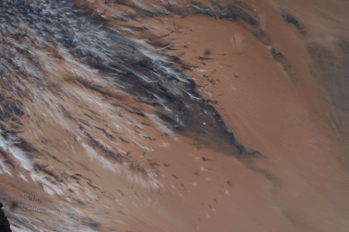 Jessica Meir tweet media