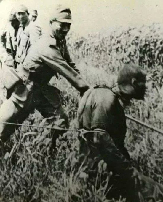 🦇🦉 INQUIBB🦉🦇 ® tweet media