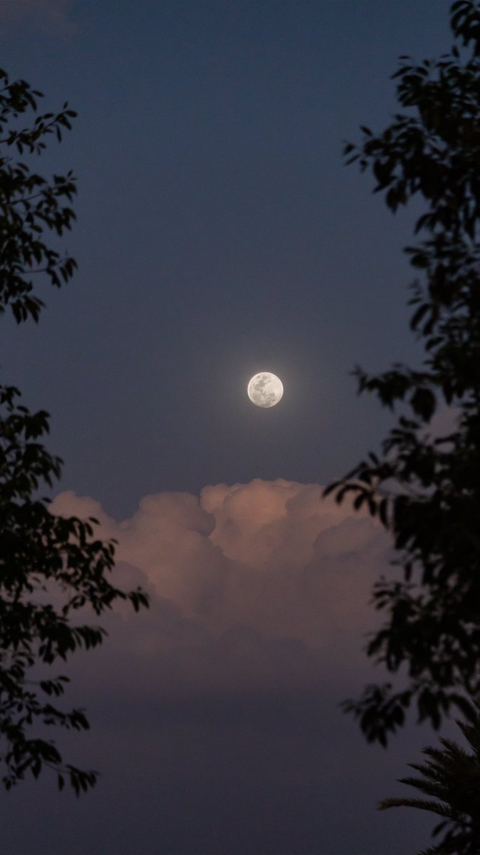 ﮼نظـــرة ﮼يامي look_yami tweet media