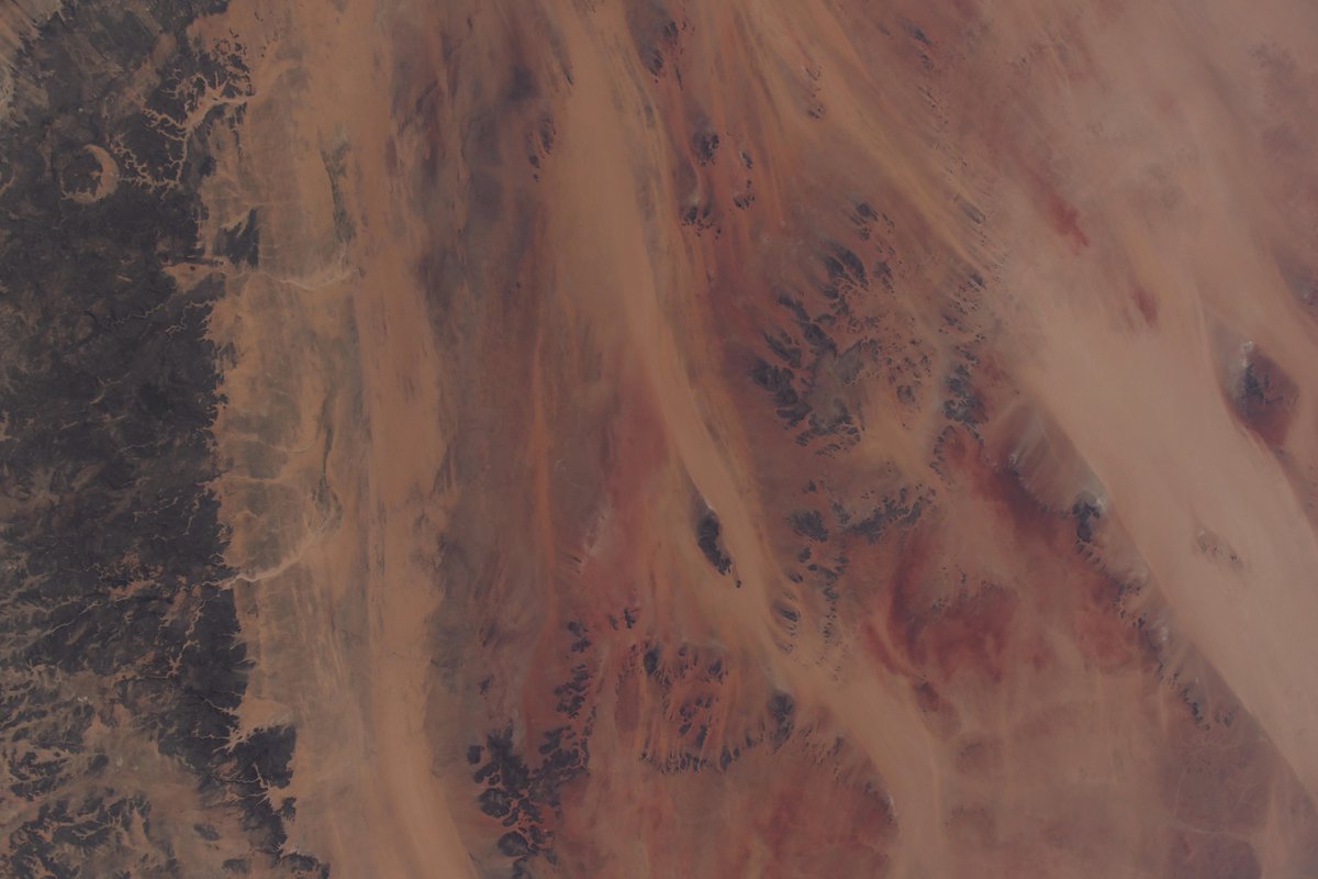 Jessica Meir tweet media