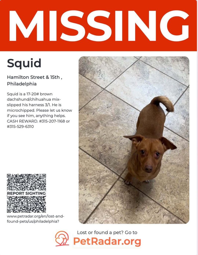 Kite & Key tweet media