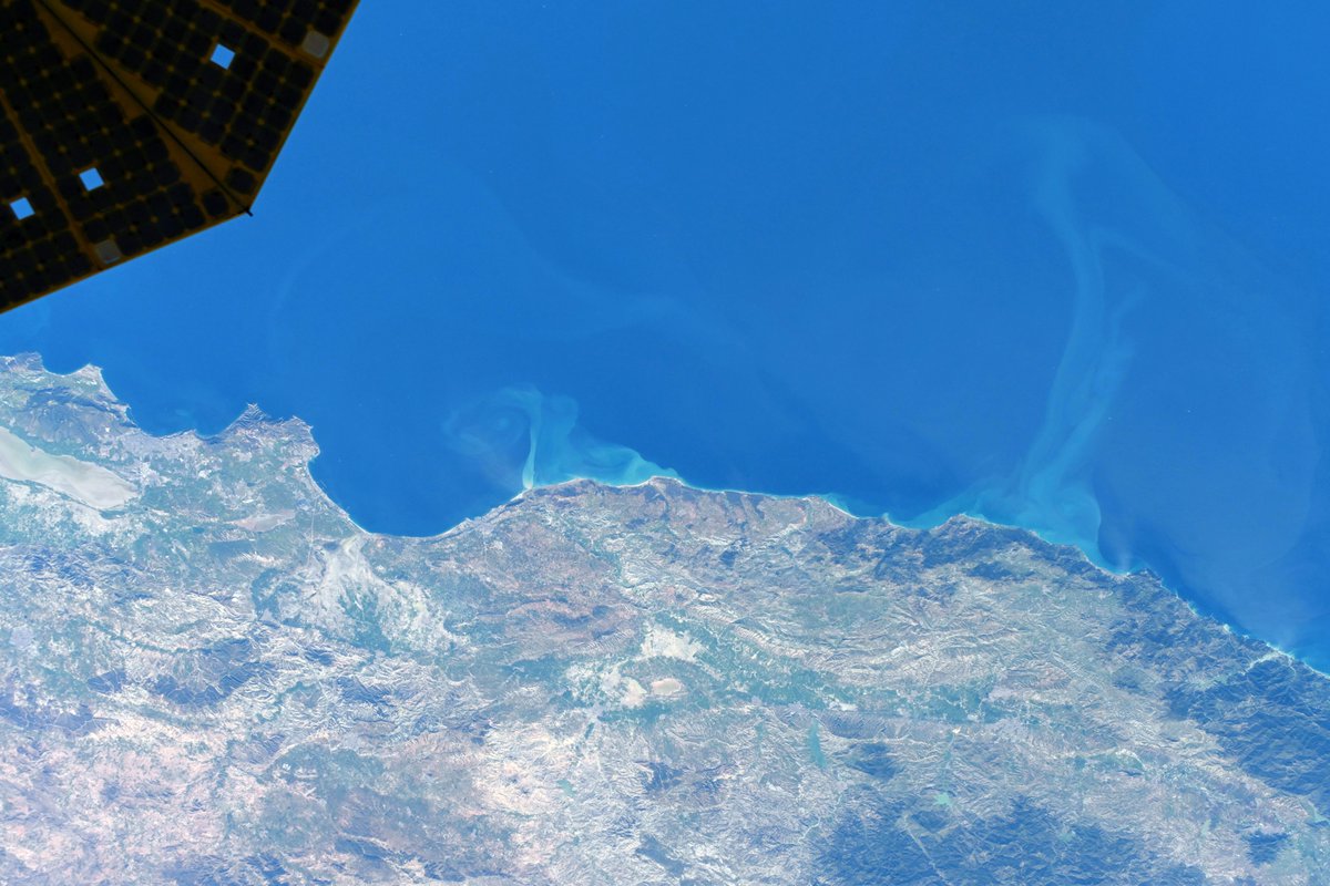 Jessica Meir tweet media