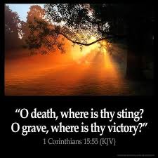 Rosanna Devita tweet media