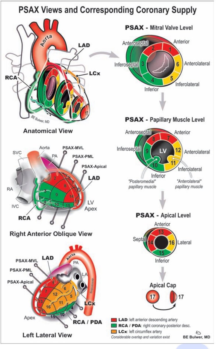 CardiovascularCorner tweet media