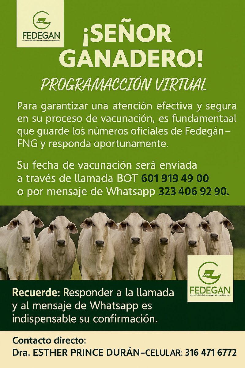 PASOS:
1. GUARDAR LOS NUMEROS DE CONTACTO COMO FEDEGAN-FNG
2. RESPONDER LA LLAMADA Y EL MENSAJE DE WHATSAPP.
3. DUDAS E INQUITUDES COMUNICARSE AL 316 471 6772
#orgullosamenteganaderos
#construyendoganadería