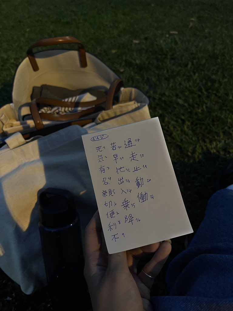 Loli • ロリ🌳💭 tweet media