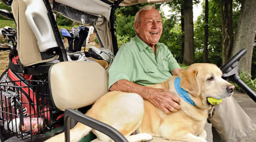 TOURMISS's tweet image. A VERY SPECIAL RETURN @APinv ....

Memories of my last visit attending the 2020 hosting of  'Arnie's Event' @APBayHill but at a time of the worsening impact of the #COVID_19 crisis 

And with this year also sadly marking the 🔟th anniversary year of Arnie's passing 

Read: