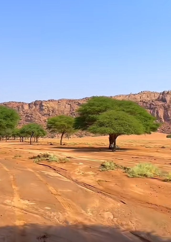 fahd_1_1_11's tweet photo. قال: أتاني جبريلُ فقال
: رَغِمَ أنفُ امرئٍ ذُكِرْتَ عنده فلم يُصَلِّ عليك، فقلتُ آمين، 
فقال: رَغِمَ أنفُ امرئٍ أدرك أبوَيه فلم يَدخُلِ الجنة، فقلتُ: آمين، 
فقال: رَغِمَ أنفُ امرئٍ أدرك رمضانَ فلم يُغْفَرْ له، فقلتُ، آمِين) https://t.co/13wCg6kjcu