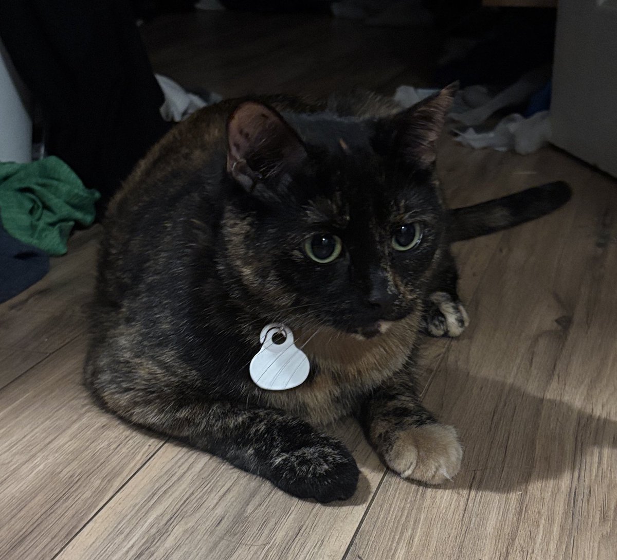 julz 🍷 tweet media