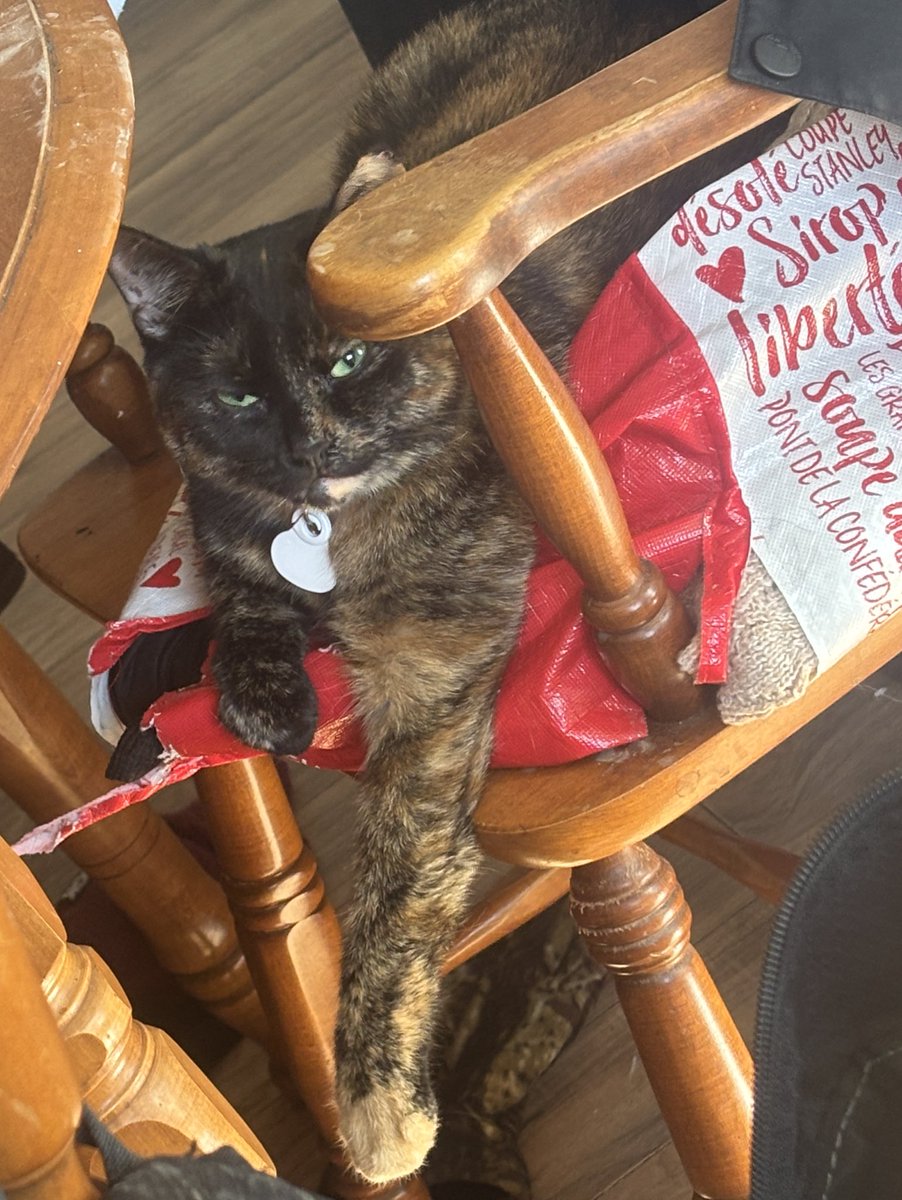 julz 🍷 tweet media