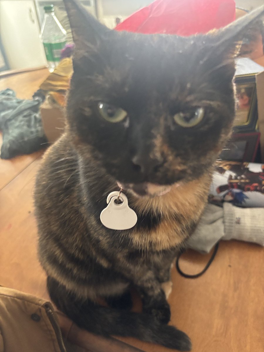 julz 🍷 tweet media