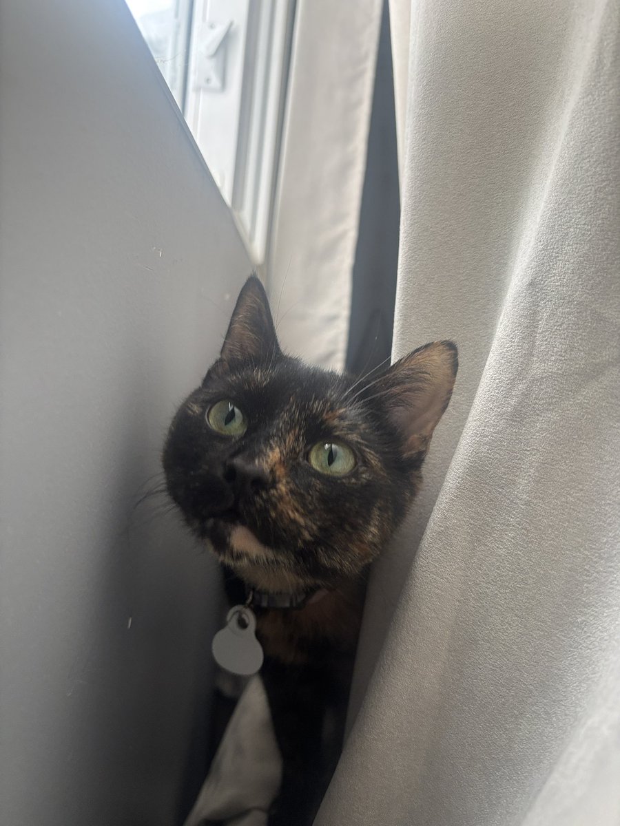 julz 🍷 tweet media