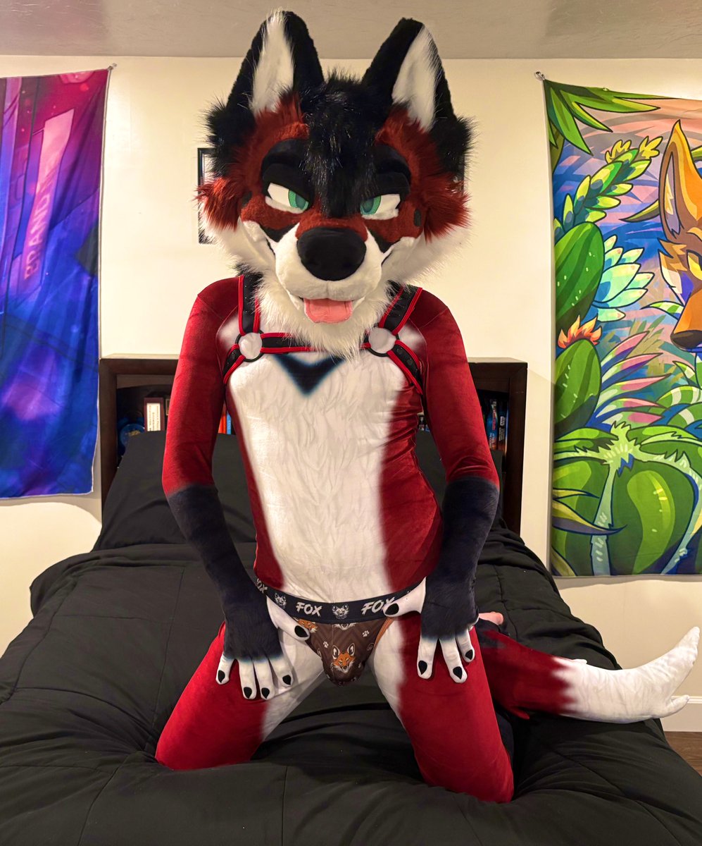 tavi🔜LVFC tweet media