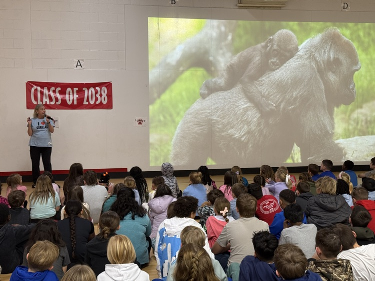 Potter Gray tweet media