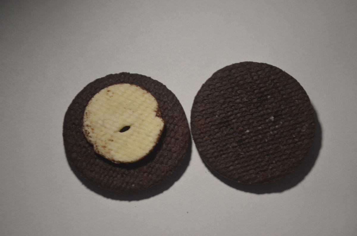 I might be a cat. Definitely not a dinosaur. tweet media