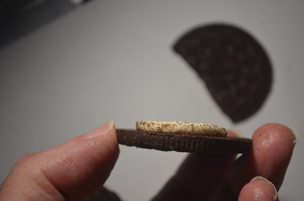 I might be a cat. Definitely not a dinosaur. tweet media