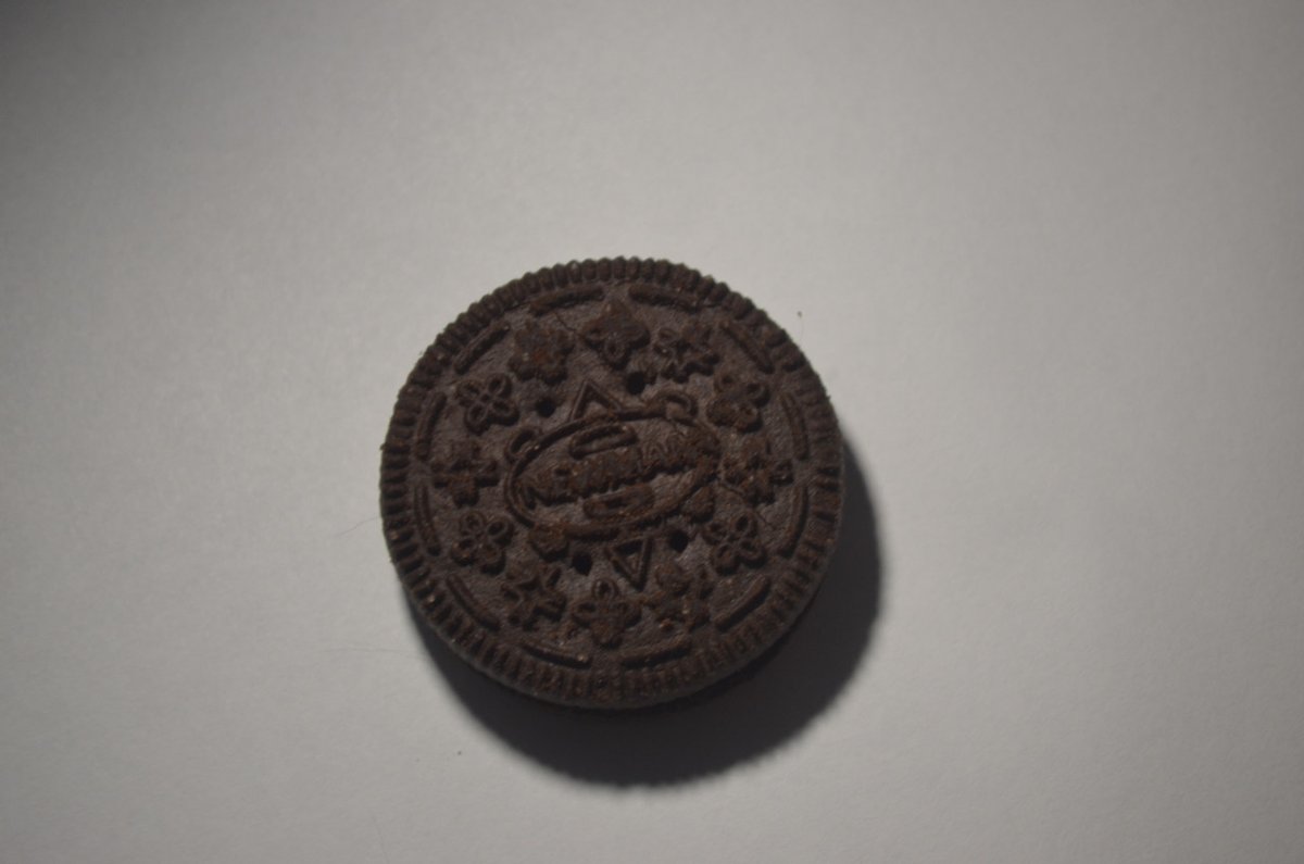 I might be a cat. Definitely not a dinosaur. tweet media