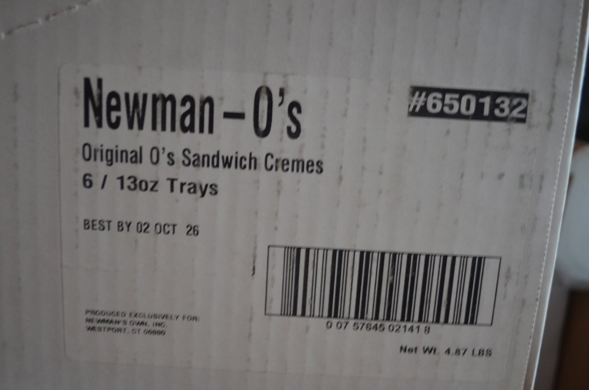 I might be a cat. Definitely not a dinosaur. tweet media