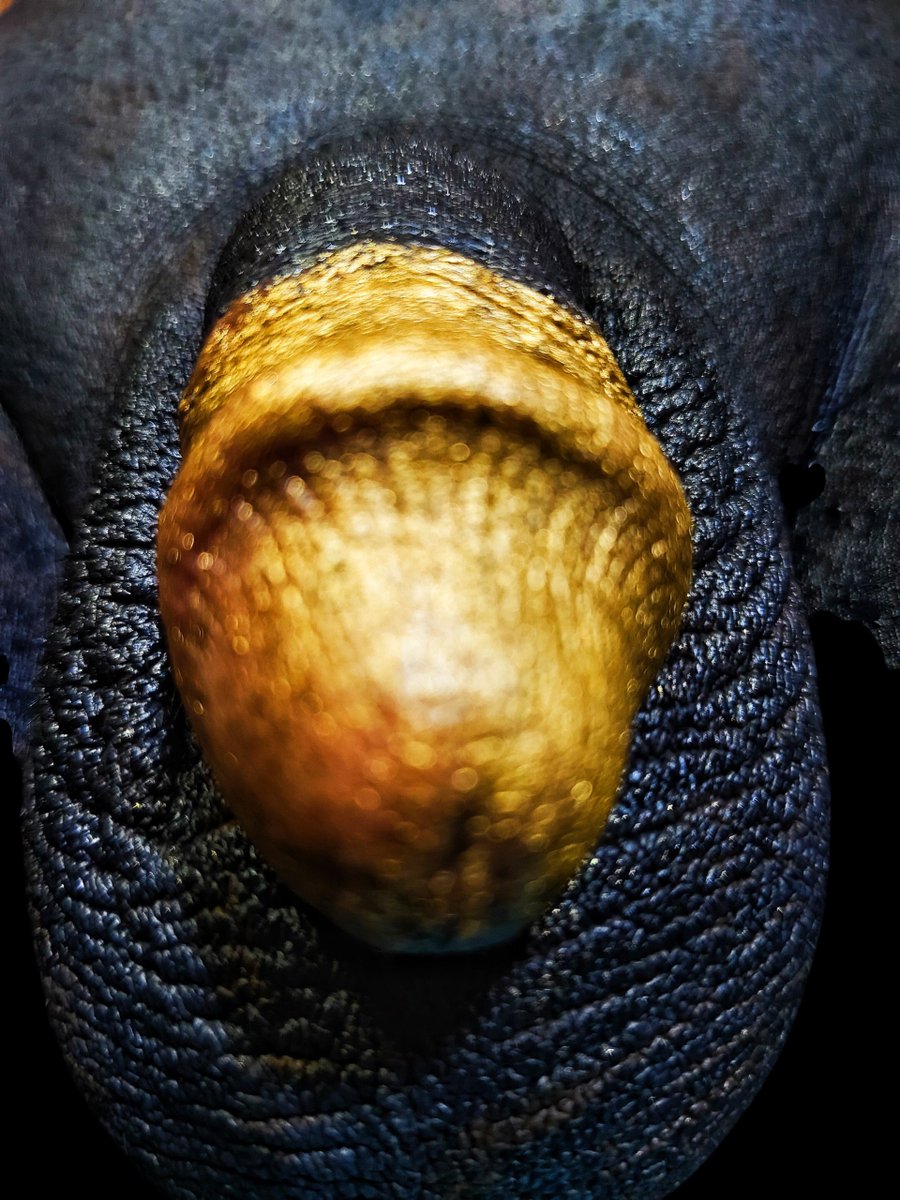 Sanjib Majumder tweet media