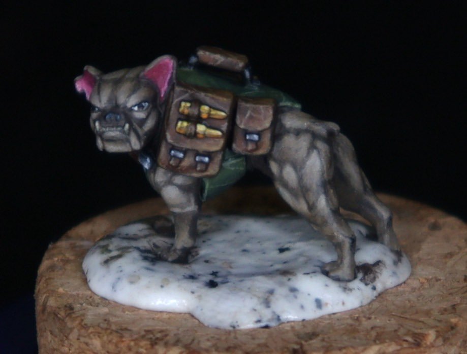 HoodGuard 🇵🇸 tweet media