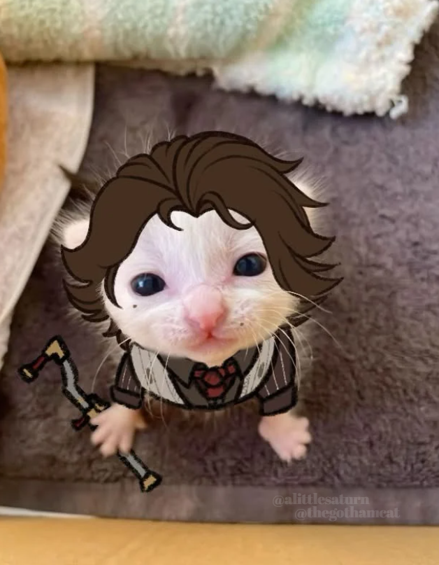 Sera 🦋 In all timelines tweet media