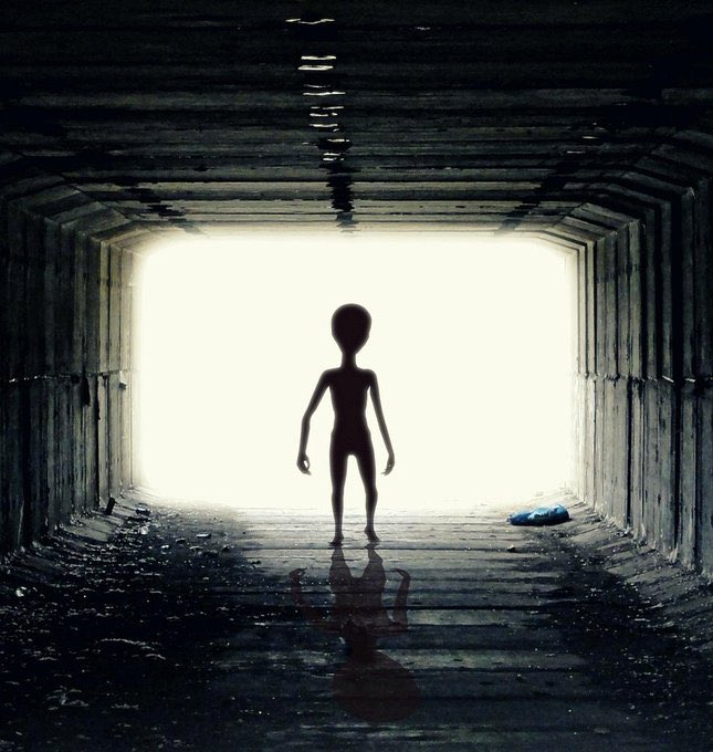 AliensRealCTO's tweet photo. You survived the shakeout, You definitely deserve the breakout. Let’s get it $ALIENS

👽👽👽 https://t.co/21iKwE9ZTk