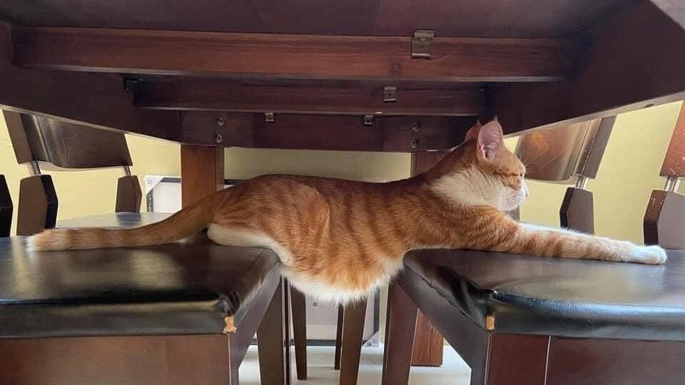 gal౨ৎ (@prtygal777) on Twitter photo 